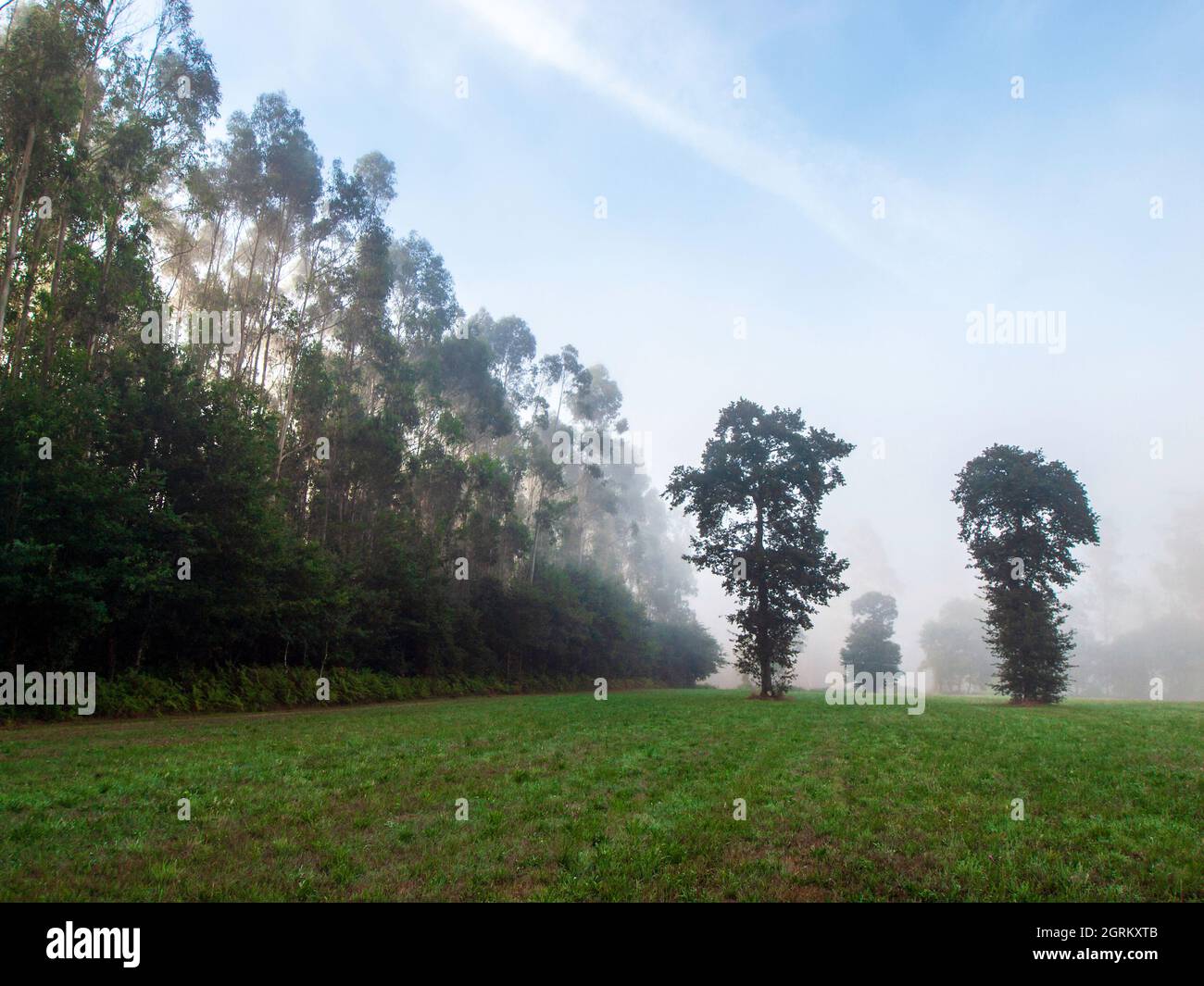 Paesaggio di campi agricoli galiziani in una giornata di sole Foto Stock