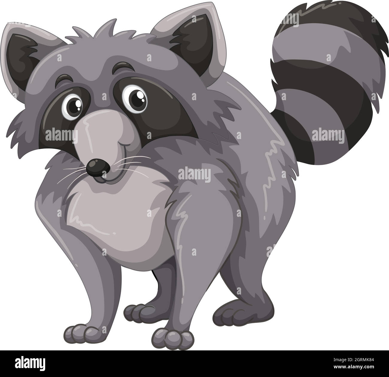 Raccoon grigio con volto felice Illustrazione Vettoriale