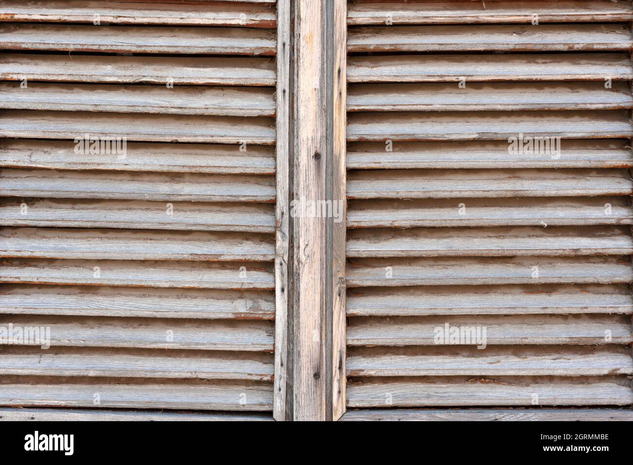 Campione di tessuto parete di legno Foto Stock