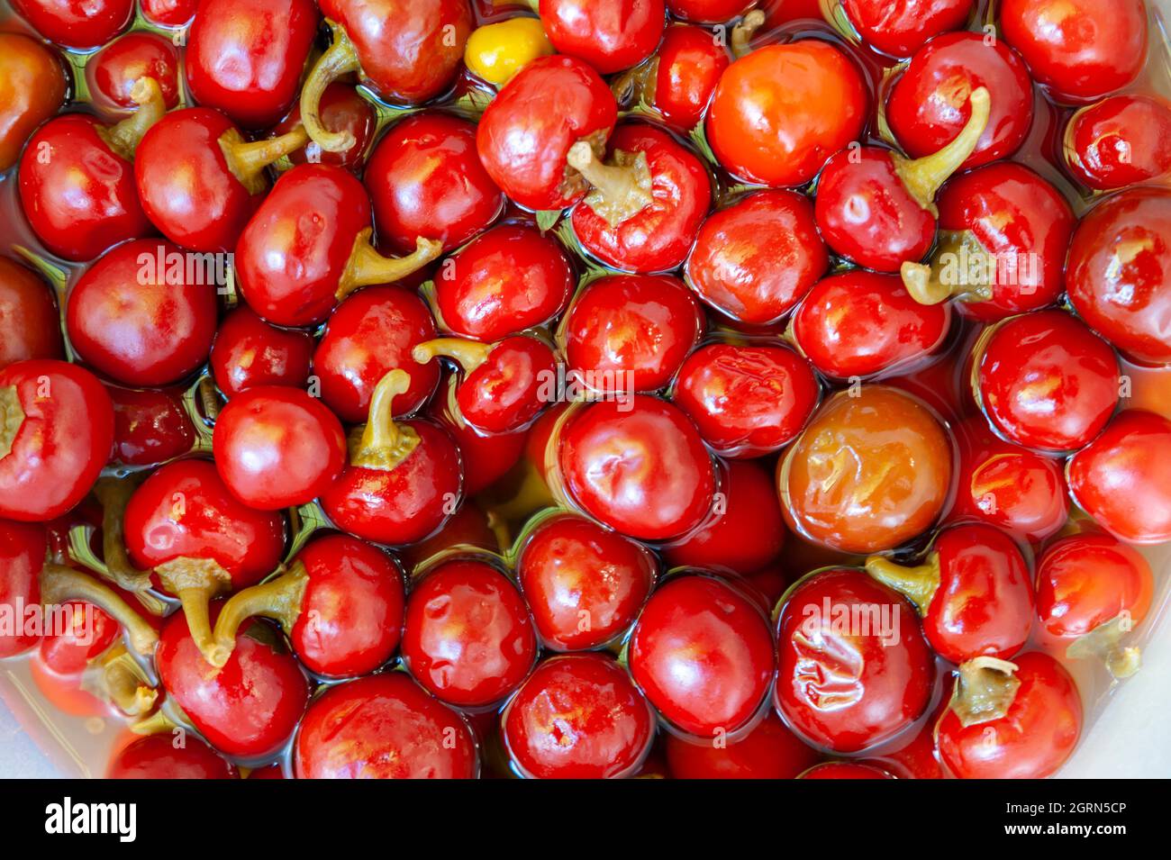 Peperoni rossi sottaceto, in salamoia Foto Stock