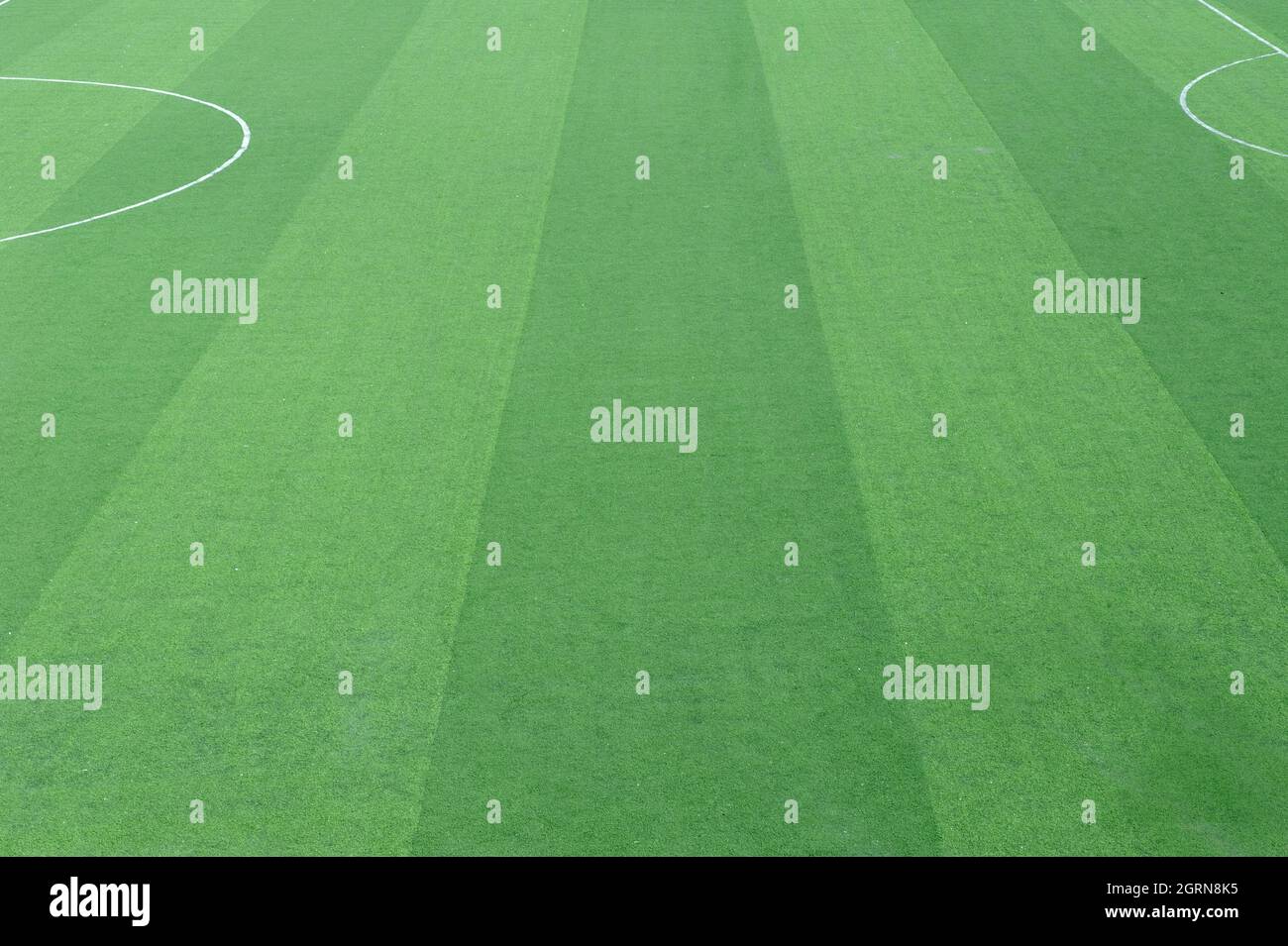 Campo di calcio, campo di erba Foto Stock
