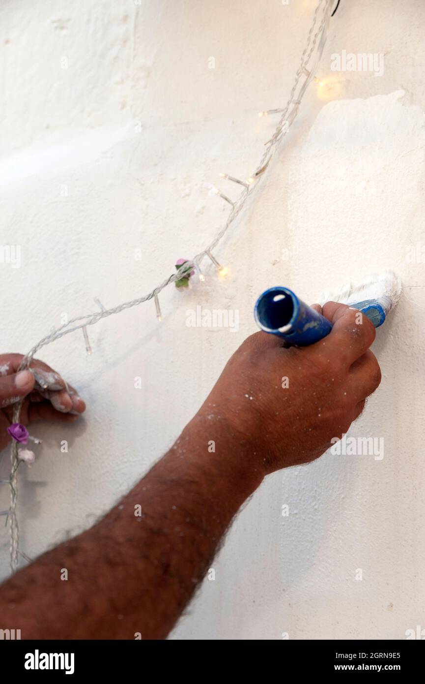 Seme di caffè, caffè crudo. Foto Stock