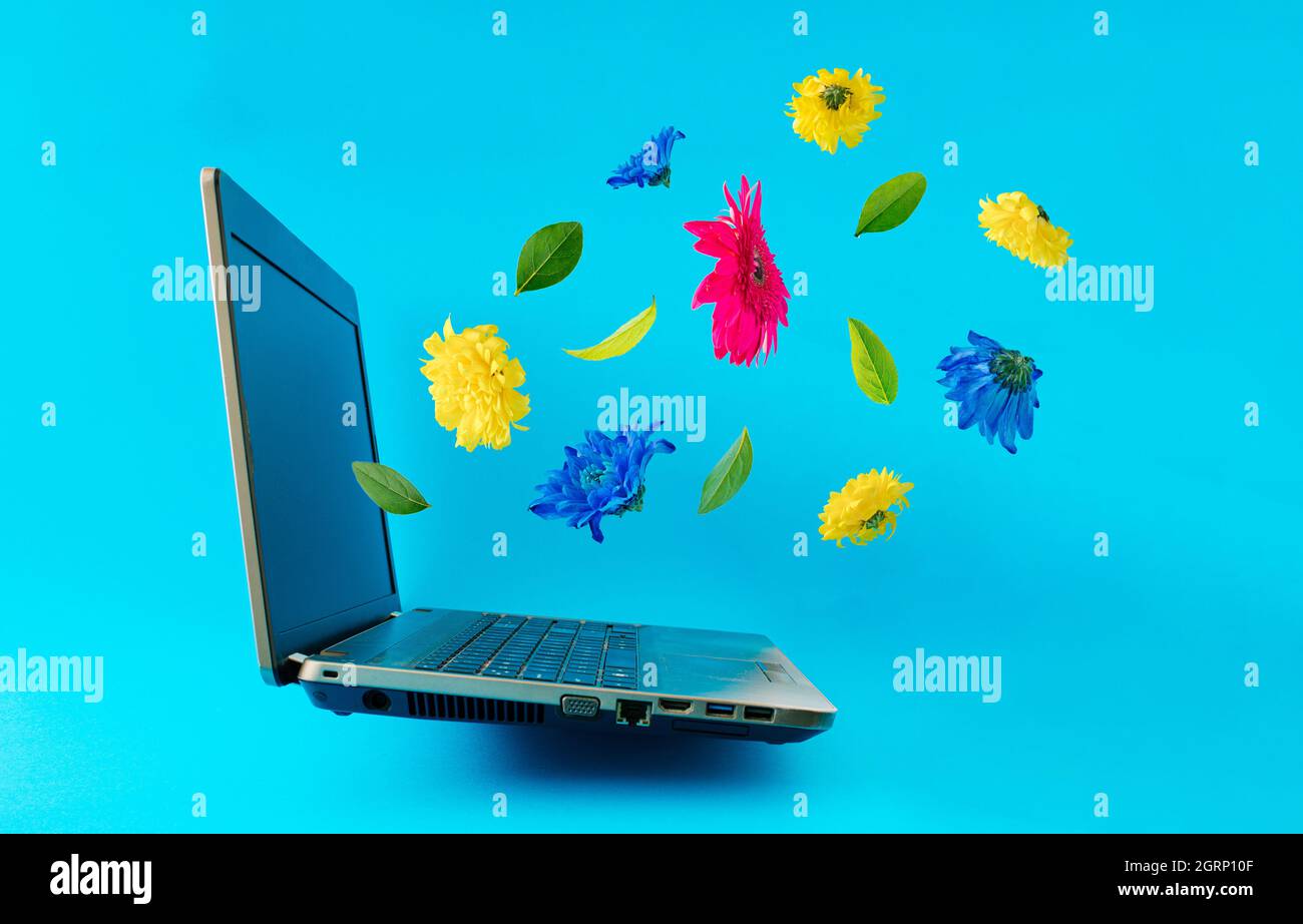 Portatile isolato con fiori su sfondo blu. Messaggio promettente e annuncio di notizie allegro concetto. Pensiero positivo e energia incoraggiante Foto Stock