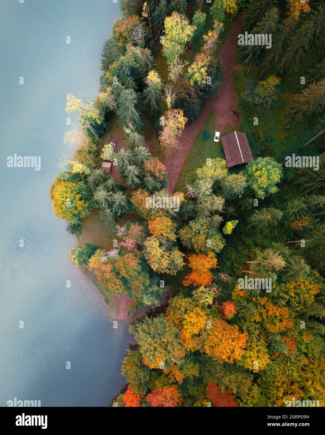Vista aerea sul lago con acque turchesi nei Monti Carpazi. Autunno foresta con alberi d'arancio sulla costa. Tereblia-Ritske (Vilshanske) sul fiume Tereblia, regione transcarpazia, Ucraina Foto Stock