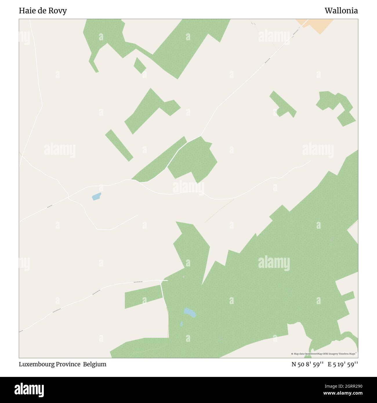 Haie de Rovy, Provincia di Lussemburgo, Belgio, Vallonia, N 50 8' 59'', e 5 19' 59''', mappa, Mappa senza tempo pubblicata nel 2021. Viaggiatori, esploratori e avventurieri come Florence Nightingale, David Livingstone, Ernest Shackleton, Lewis and Clark e Sherlock Holmes si sono affidati alle mappe per pianificare i viaggi verso gli angoli più remoti del mondo, Timeless Maps sta mappando la maggior parte delle località del mondo, mostrando il successo di grandi sogni Foto Stock