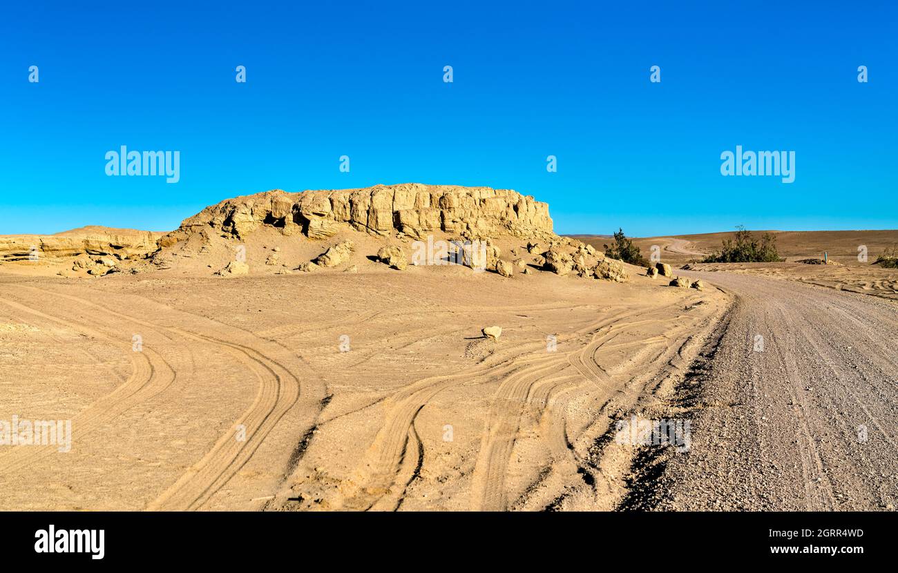 Fossili di balene nel deserto di Ocucaje, in Perù Foto Stock