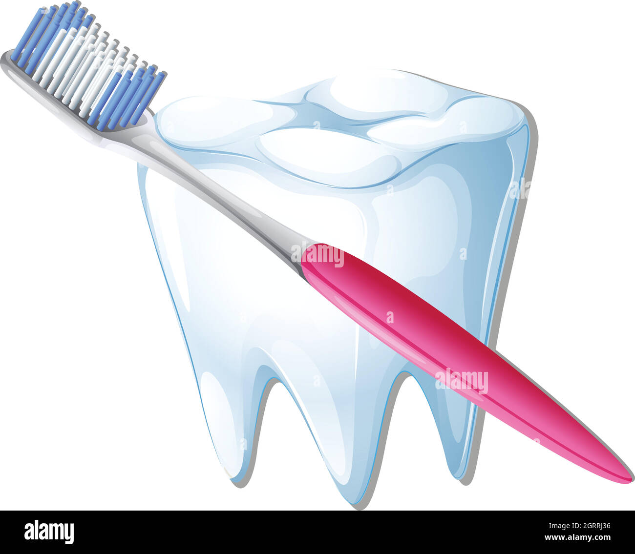 Uno spazzolino e un dente Illustrazione Vettoriale