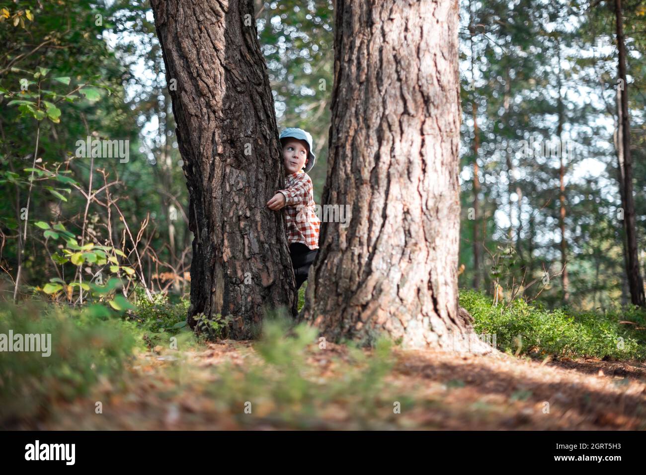 Piccolo capretto in cappello blu abbraccia un pino nella foresta d'autunno. Infanzia con natura concetto di amore Foto Stock
