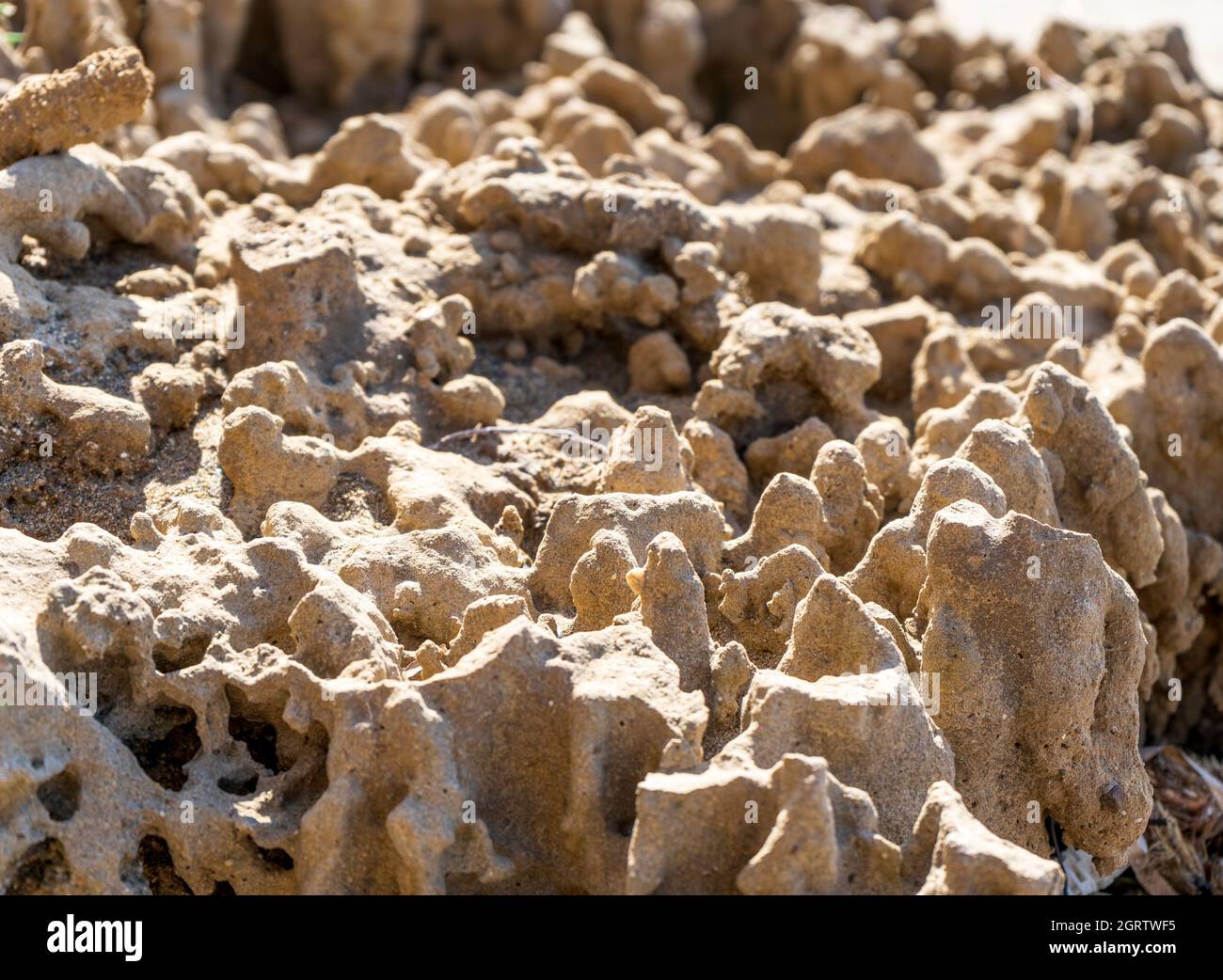 Roccia porosa a forma di mare sulla riva del golfo di Baratti, comune di Piombino, Toscana, Italia Foto Stock