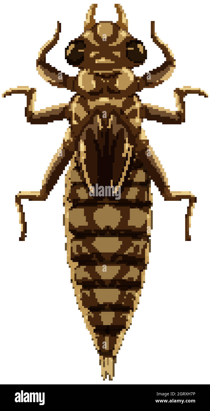 Una libellula (fase di Larva) su sfondo bianco Illustrazione Vettoriale