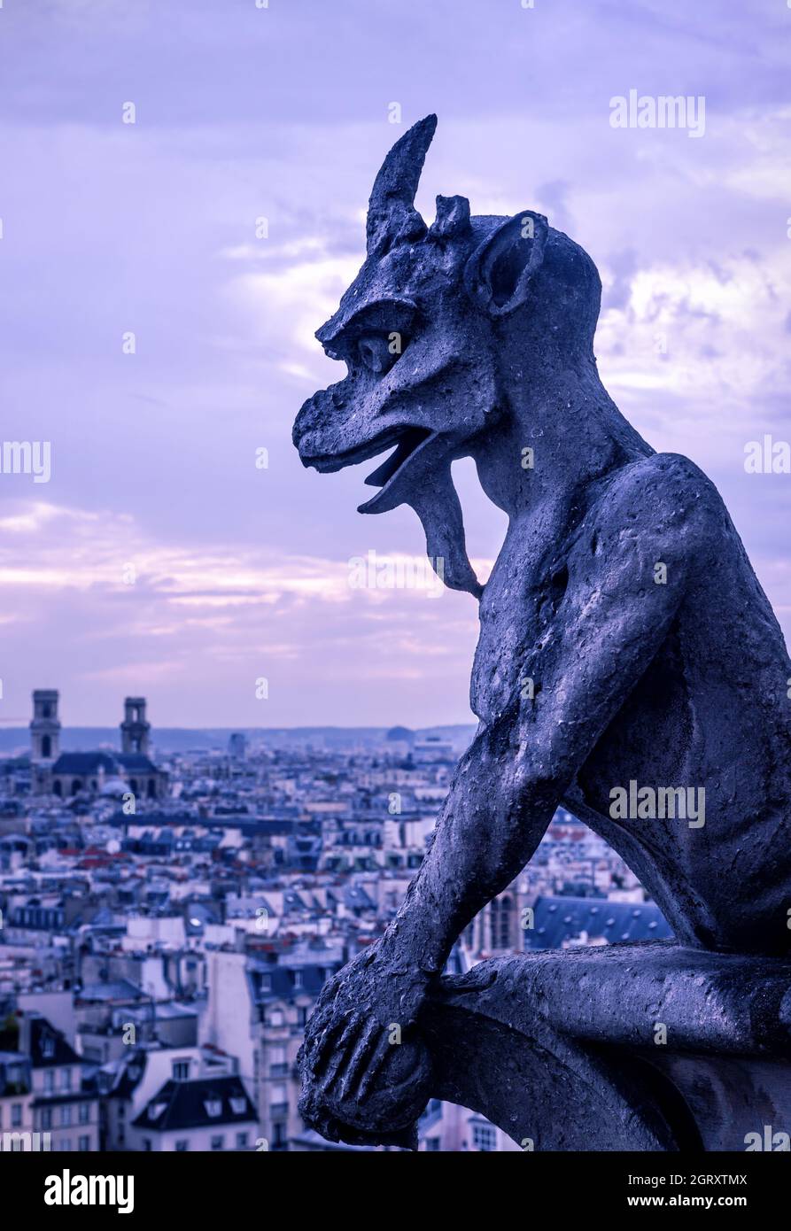 Gargoyle (chimera) della cattedrale di Notre Dame de Paris, Francia. E' un punto di riferimento della citta' di Parigi. Vista verticale della statua del demone gotico di notte, sculpta spaventosa Foto Stock