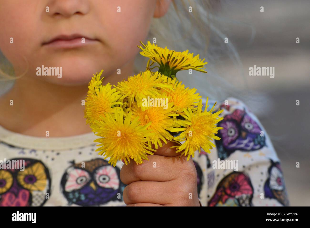 Sezione centrale di ragazza che tiene fiori gialli Foto Stock