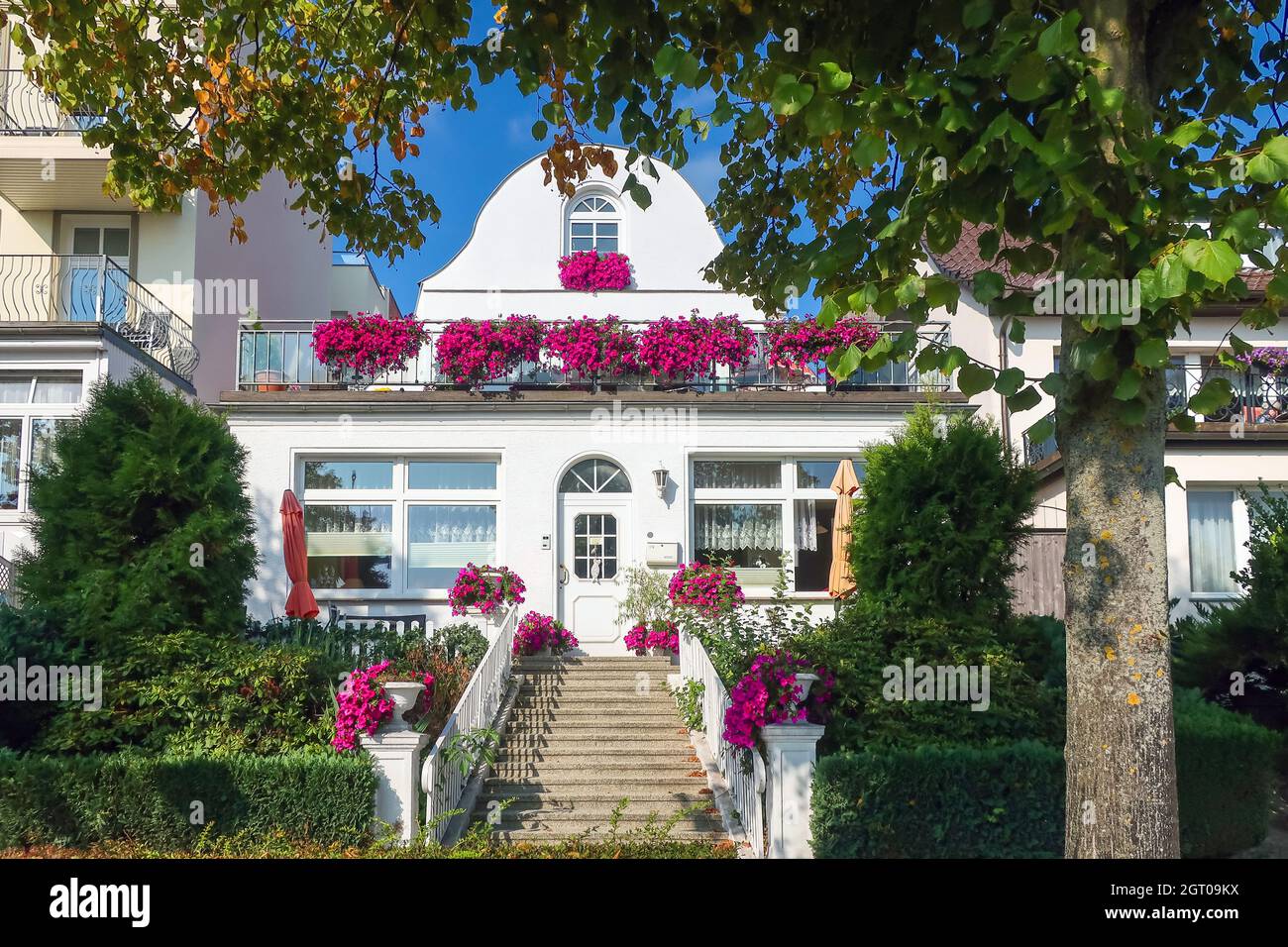 Una serie di proprietà colorate fiancheggiate da bouganvillee sul lungomare lungo la costa baltica nella città di Warnemunde Germania. Foto Stock