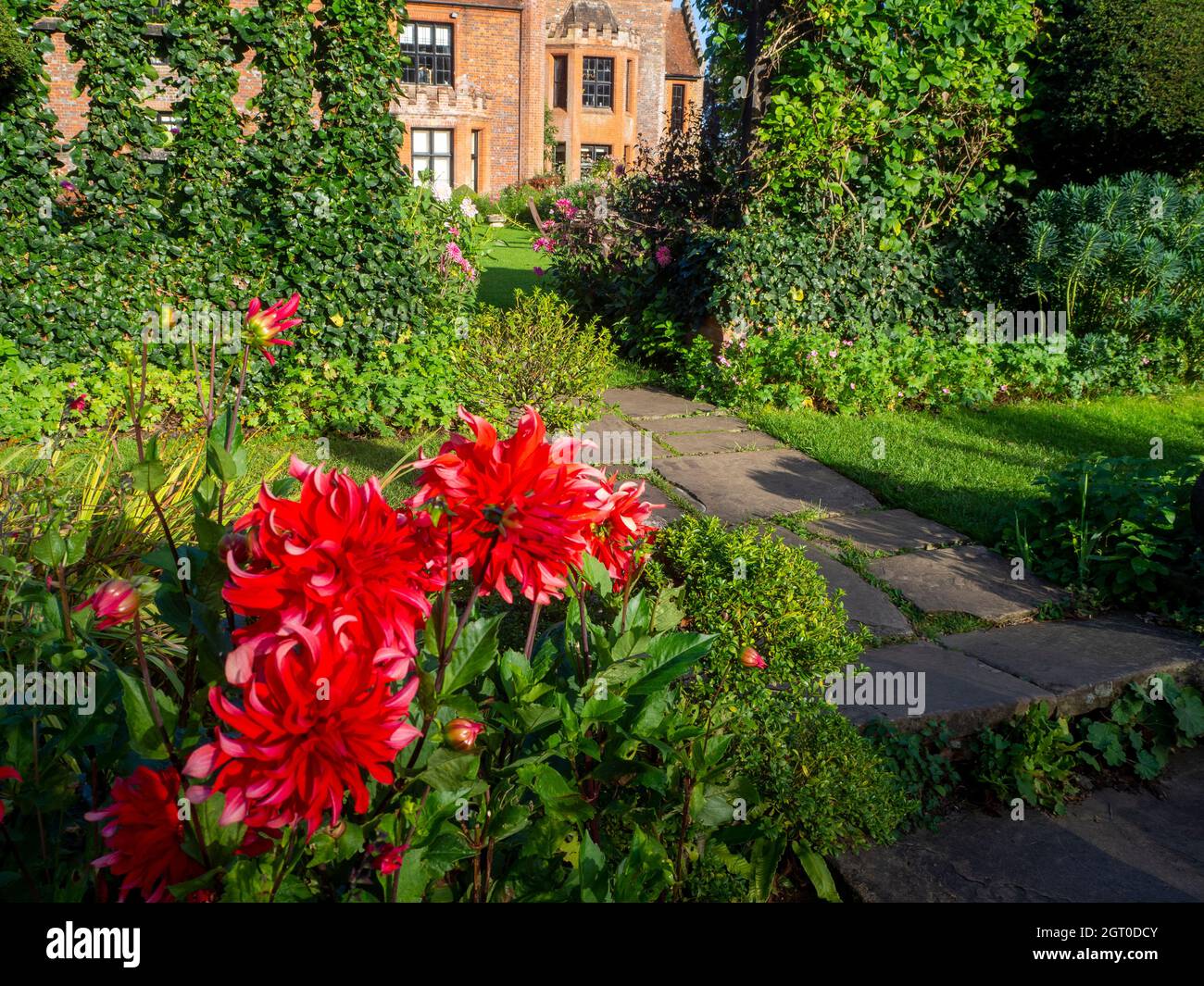 Chenies Manor casa in autunno impressionante Dahlia decorativo 'Labirinto Rosso' in primo piano con il Tudor maniero sullo sfondo. Foto Stock