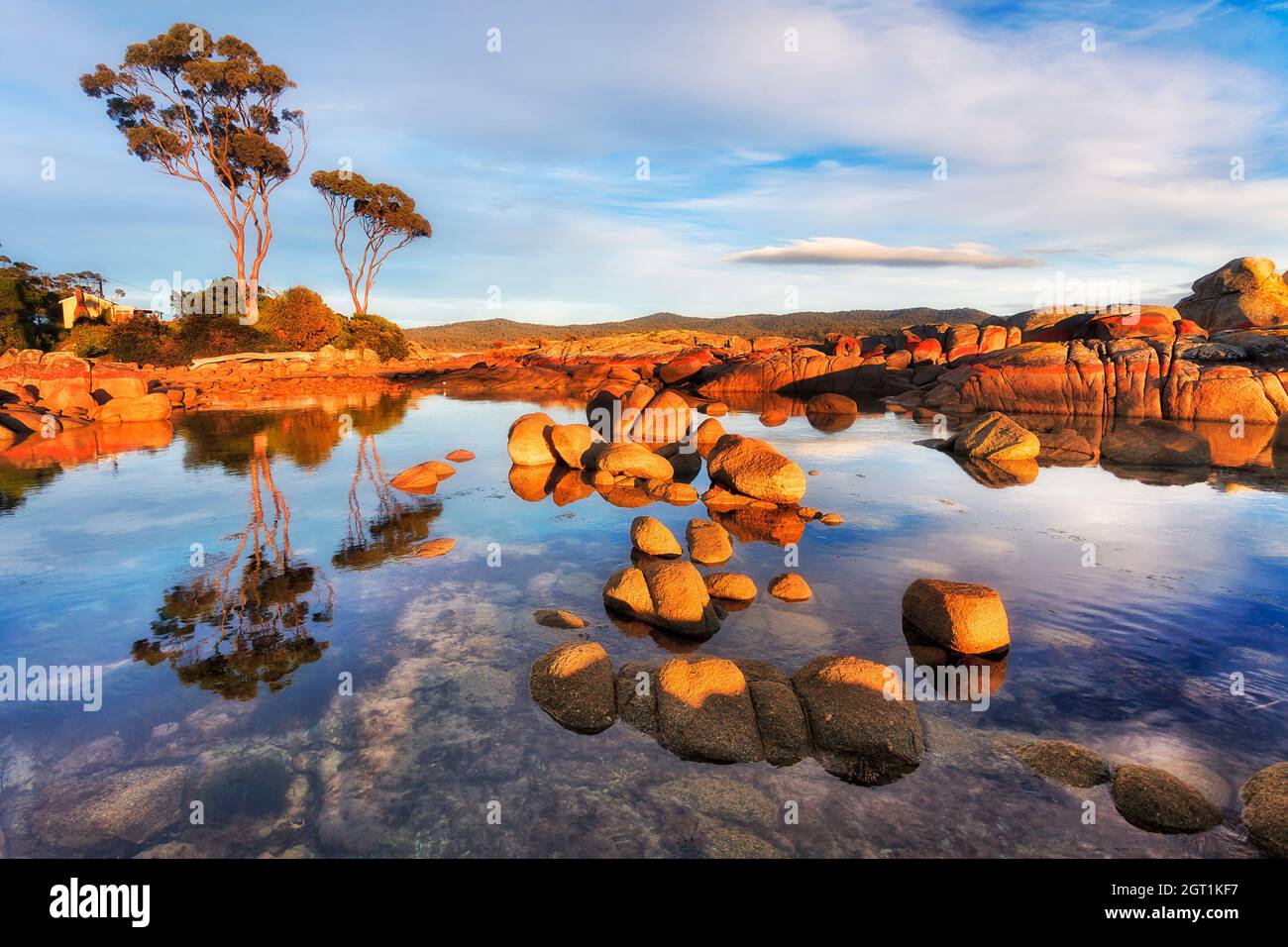 Baia dei fuochi costa panoramica nella baia di Binalong di Tasmania, Australia - alberi di gomma illuminati dal sole crescente riflettono in pozza bassa marea. Foto Stock