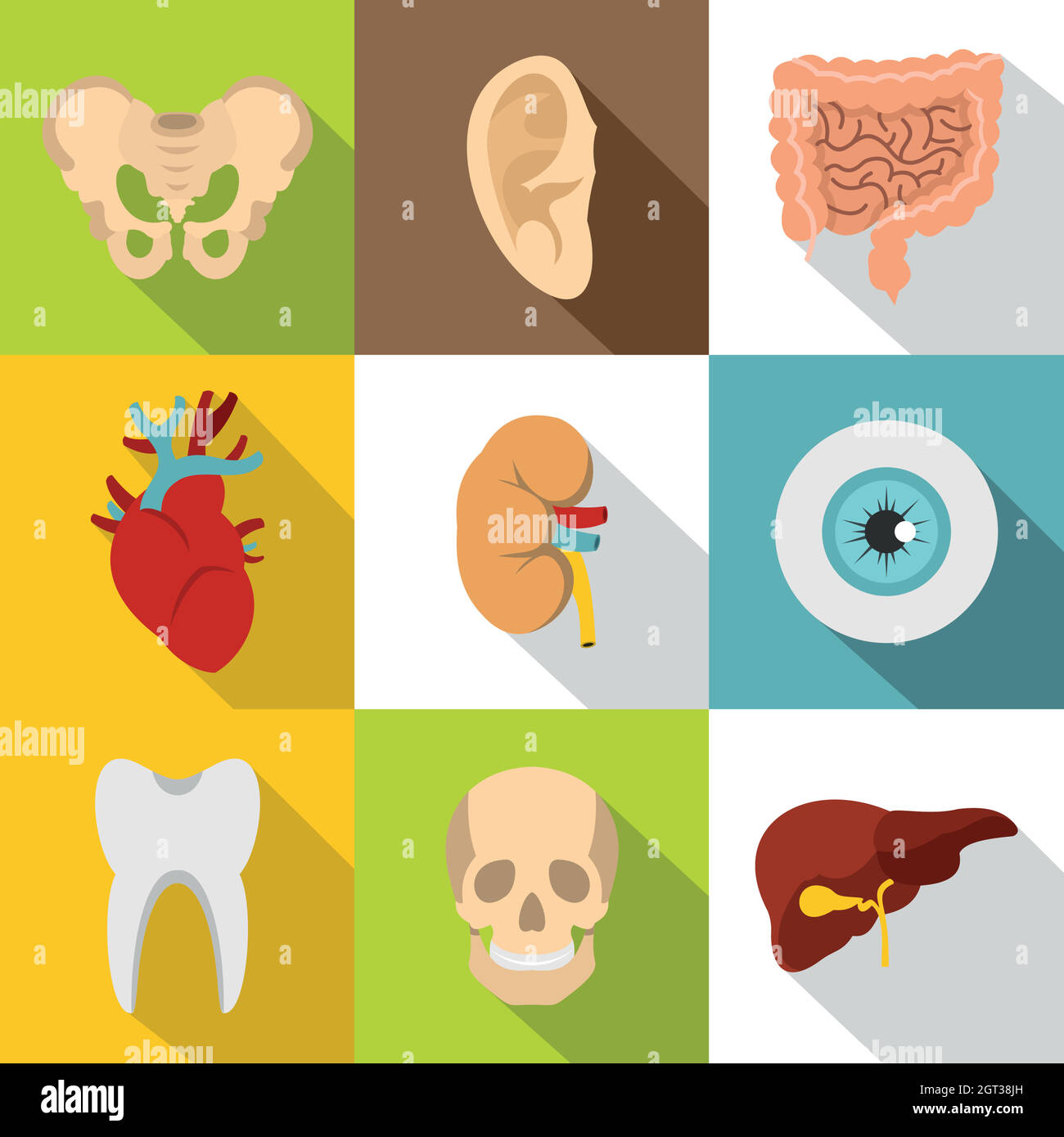 Struttura delle icone del corpo impostate, stile piatto Illustrazione Vettoriale