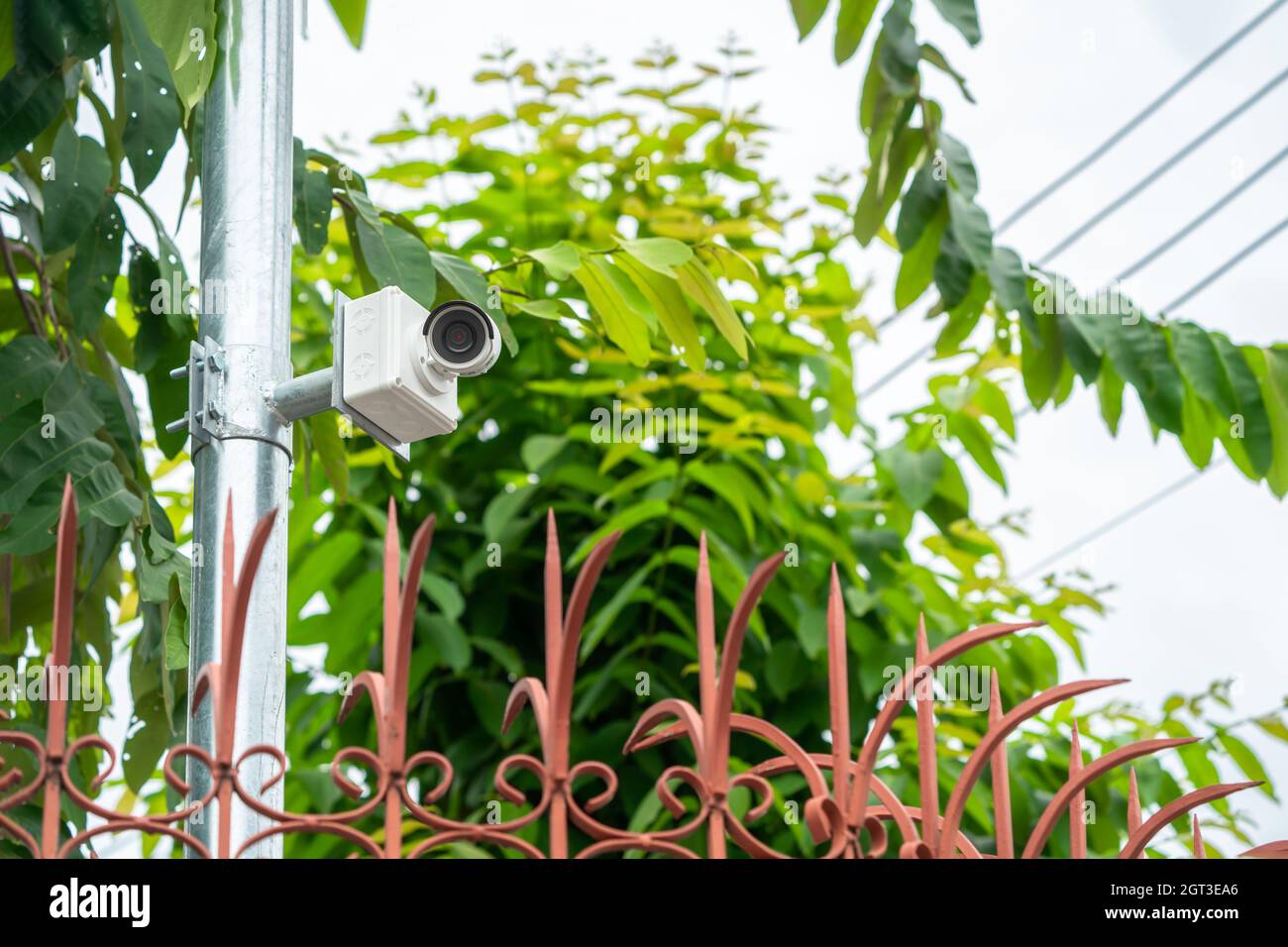 La telecamera CCTV è installata in giardino con sfondo verde sfocato per il controllo del monitor e del sistema di sicurezza intorno a quella zona. Foto Stock