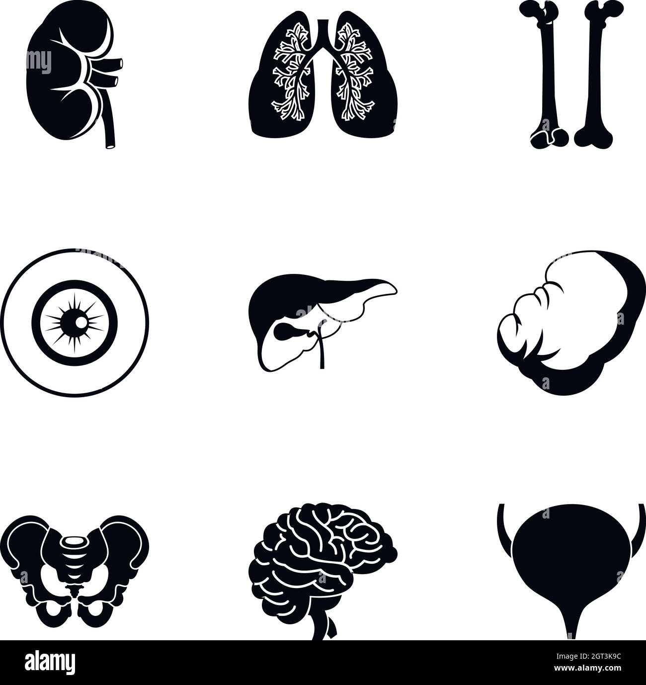 Gli organi interni set di icone, stile semplice Illustrazione Vettoriale