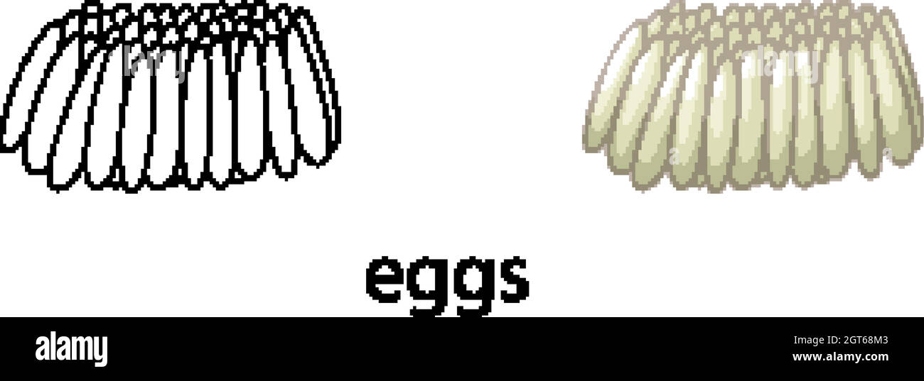 Uova di zanzara di colore e noodle Illustrazione Vettoriale