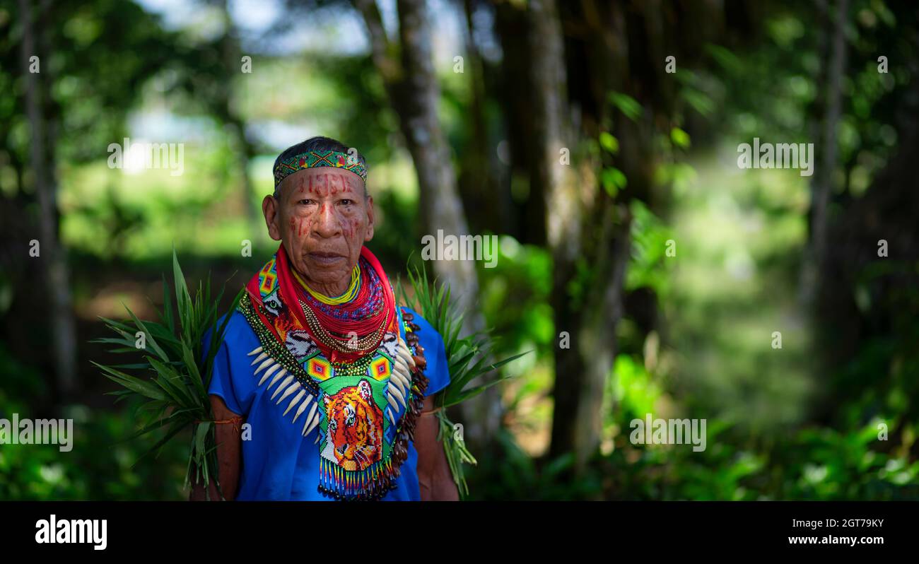 Nueva Loja, Sucumbios / Ecuador - 2 settembre 2020: Primo piano di uno sciamano anziano della nazionalità cofana che cammina nel mezzo della giungla amazzonica Foto Stock