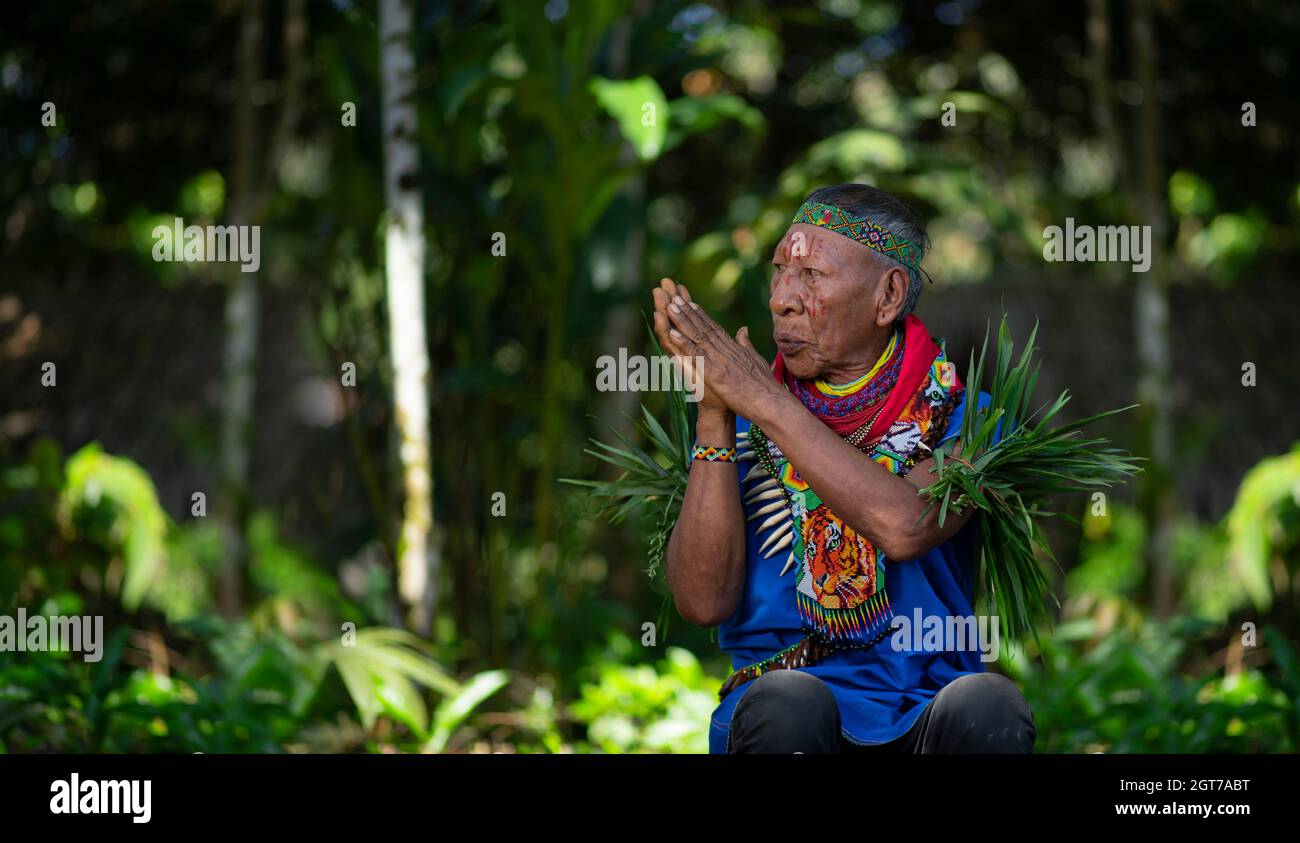 Nueva Loja, Sucumbios / Ecuador - 2 settembre 2020: Sciamano indigeno anziano di nazionalità cofana che prega con le sue mani Uniti nel rainfo Amazon Foto Stock