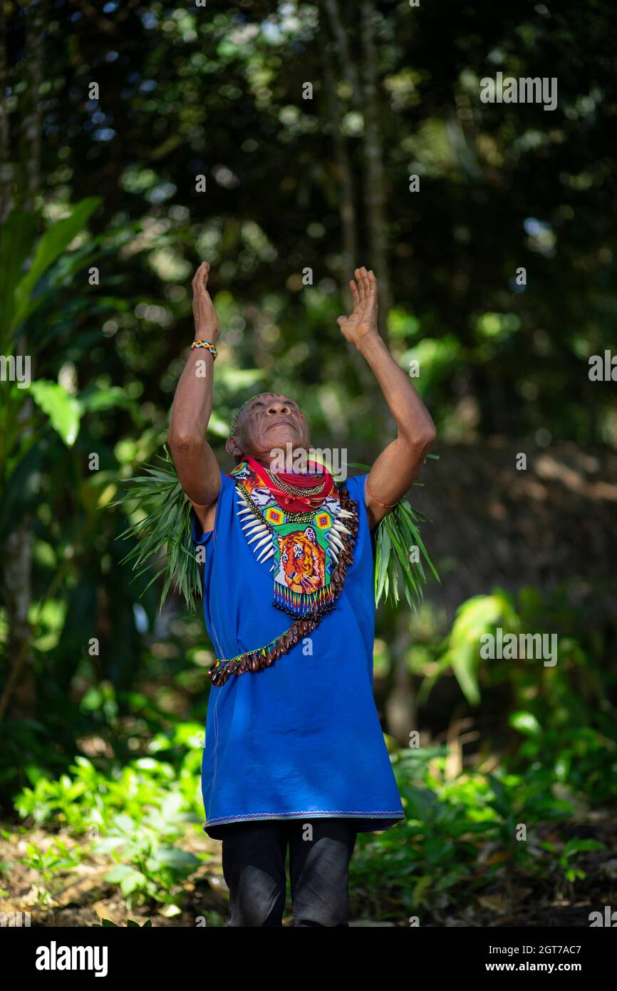 Nueva Loja, Sucumbios / Ecuador - 2 settembre 2020: Sciamano indigeno anziano di nazionalità Cofan che esegue un rituale di guarigione con le braccia sollevate Foto Stock
