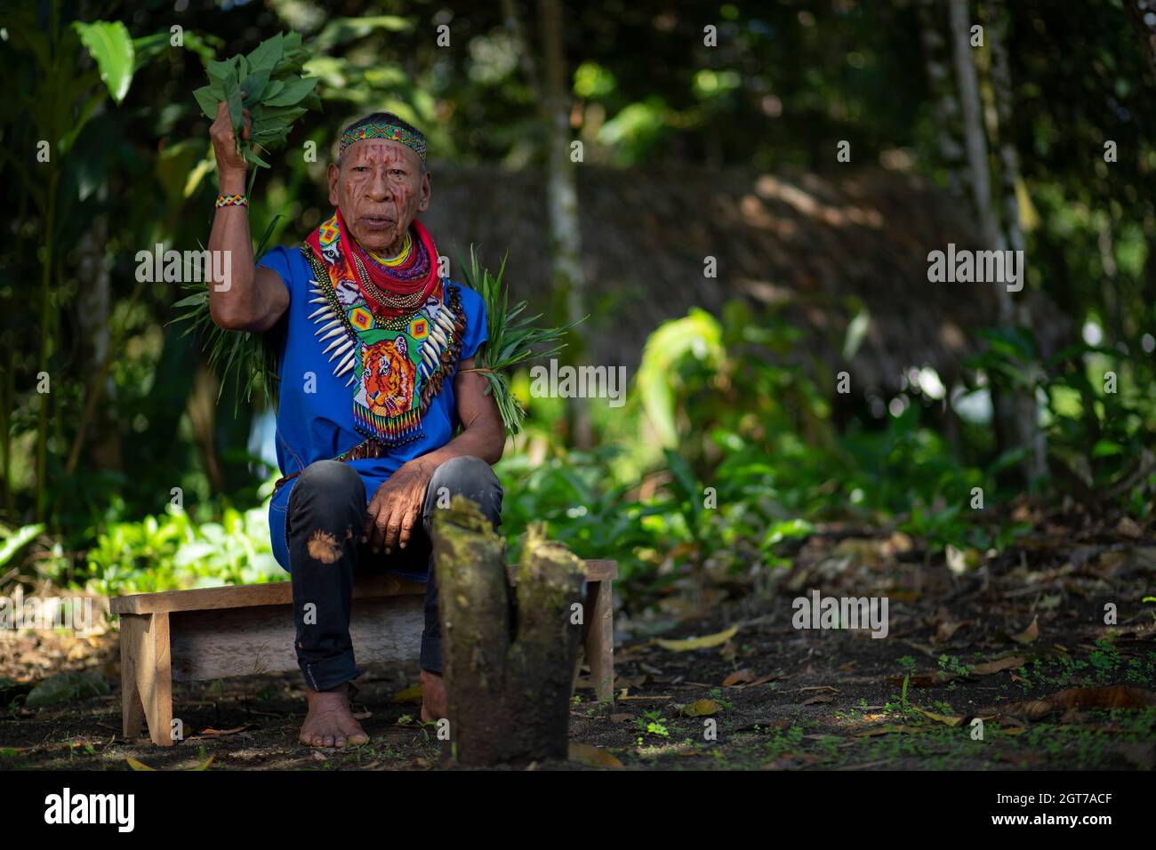 Nueva Loja, Sucumbios / Ecuador - 2 settembre 2020: Vecchio sciamano della nazionalità Cofan seduto su una piccola panca di legno che esegue un rituale di guarigione in Foto Stock