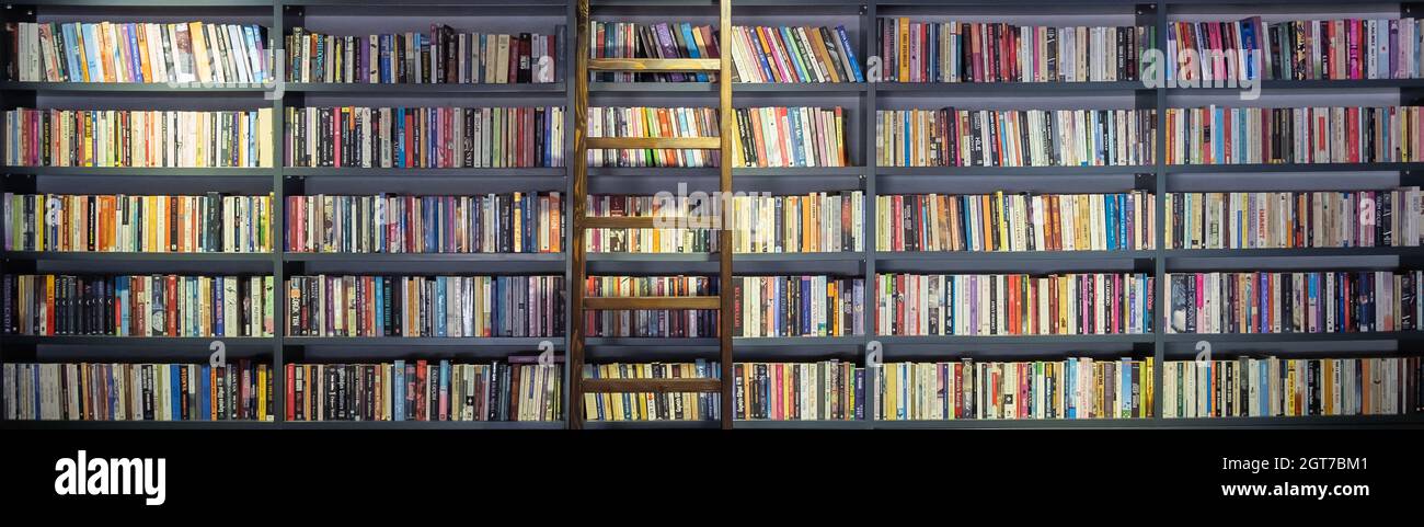 scala in legno su scaffale, frontview Foto Stock