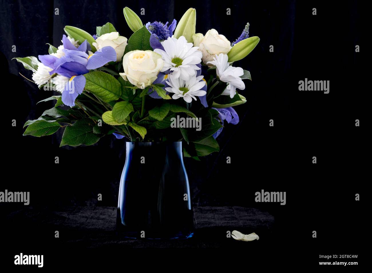 Funerale viola bouquet di fiori bianchi, di simpatia e di cordoglio concetto su blackbackground con copia spazio. Foto Stock
