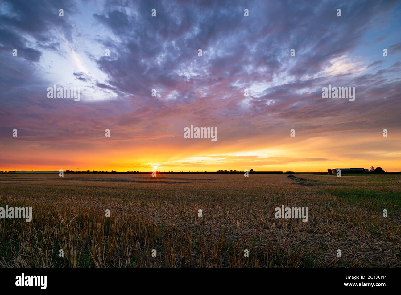 Tramonta il sole e il cielo colorato su un campo di stoppie di grano vicino Gouda, Paesi Bassi. Foto Stock
