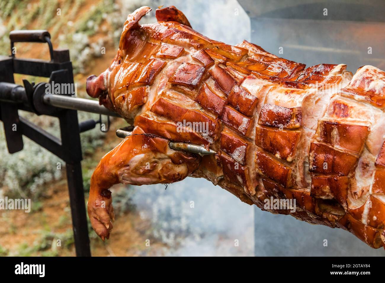 Barbecue con maiale giovane su una griglia con carbone di legno. Tutto il  corpo di maialino arrostito accendendo il grill. Grande barbecue nel  processo di cottura della carne Foto stock - Alamy