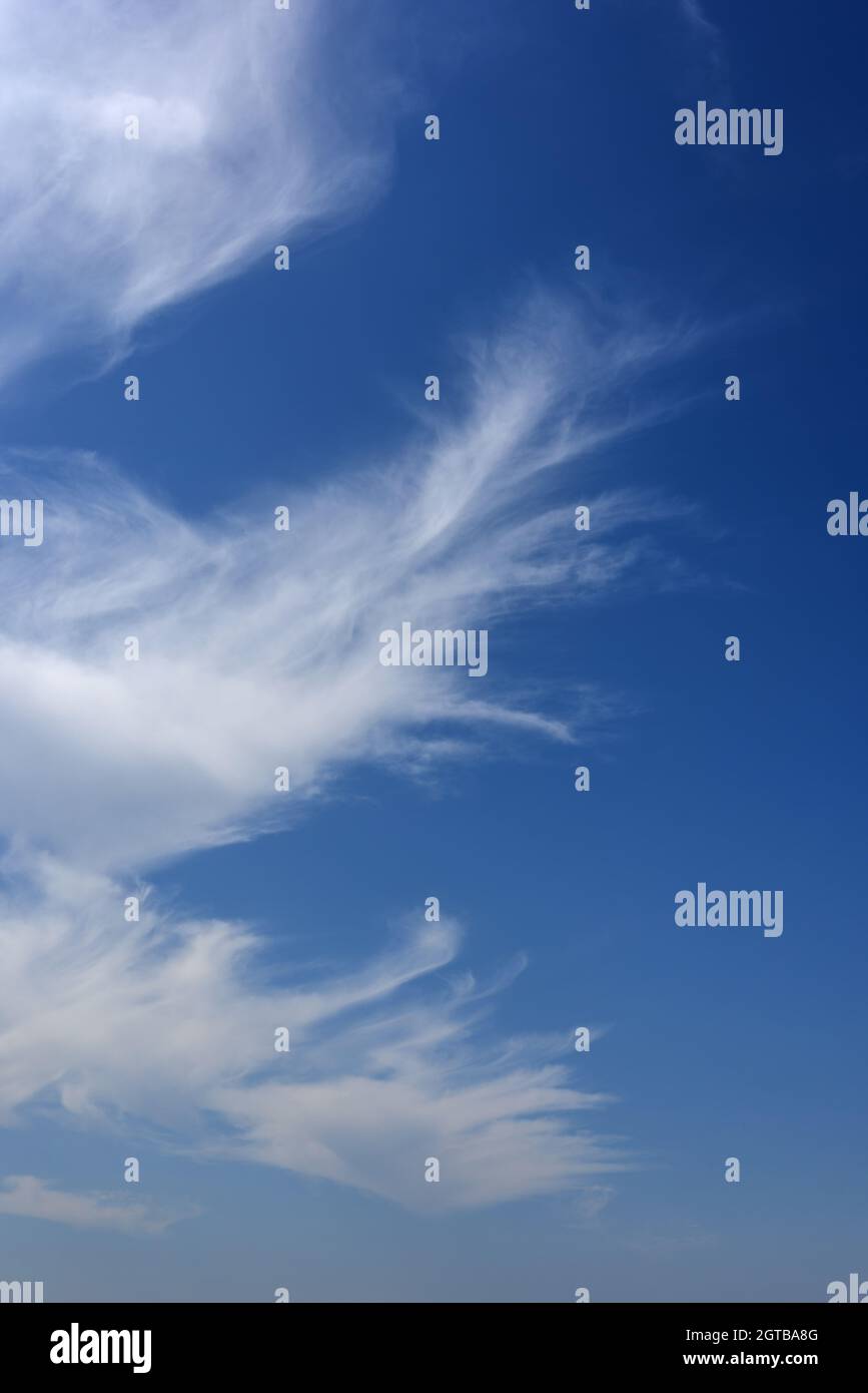 Cirrus nuvola con filamenti su un cielo blu Foto Stock