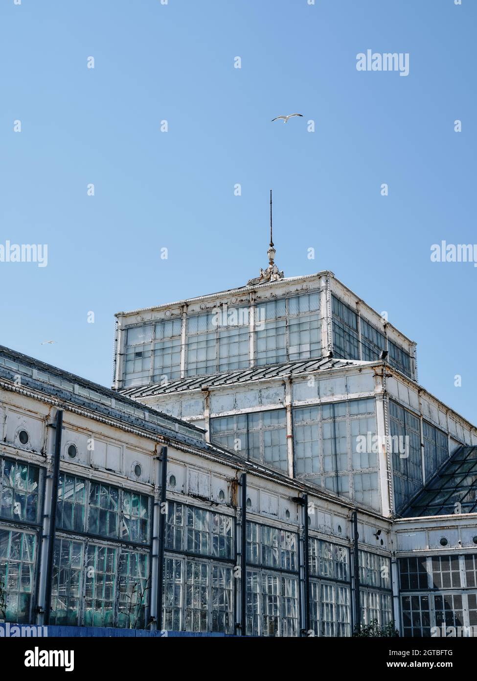 I Great Yarmouth Winter Gardens, in disuso, sono un edificio vittoriano classificato di grado II* a Great Yarmouth, Norfolk Inghilterra Foto Stock