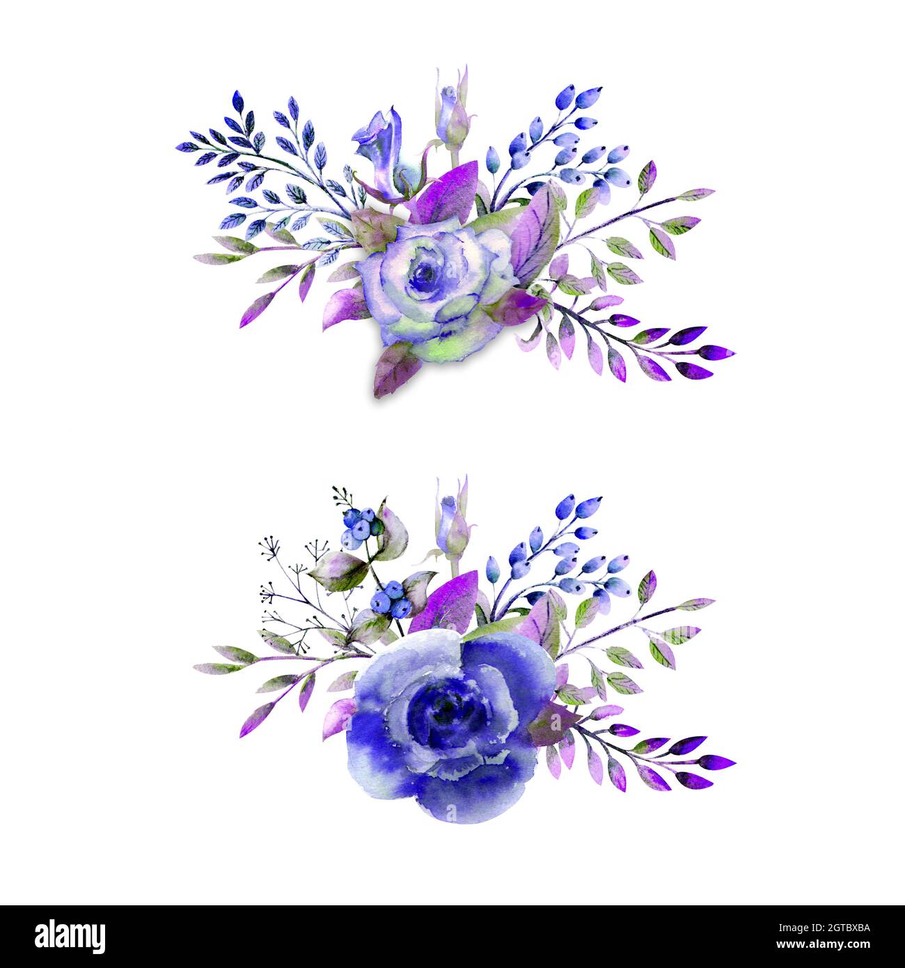 Due bouquet di rose, foglie, bacche, rametti decorativi. Concetto di matrimonio con fiori. Composizione acquerello in toni blu per biglietti d'auguri o. Foto Stock