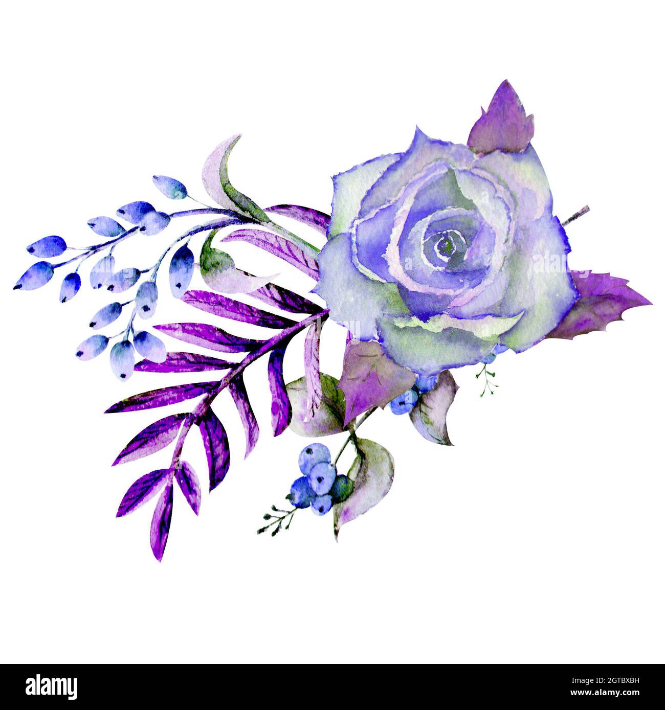 Due bouquet di rose, foglie, bacche, rametti decorativi. Concetto di matrimonio con fiori. Composizione acquerello in toni blu per biglietti d'auguri o. Foto Stock