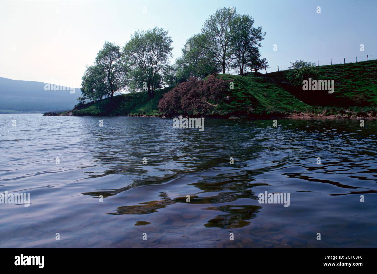 1979 giugno - lato ovest di Dinas Reservoir, Dyfed, Galles. Foto Stock