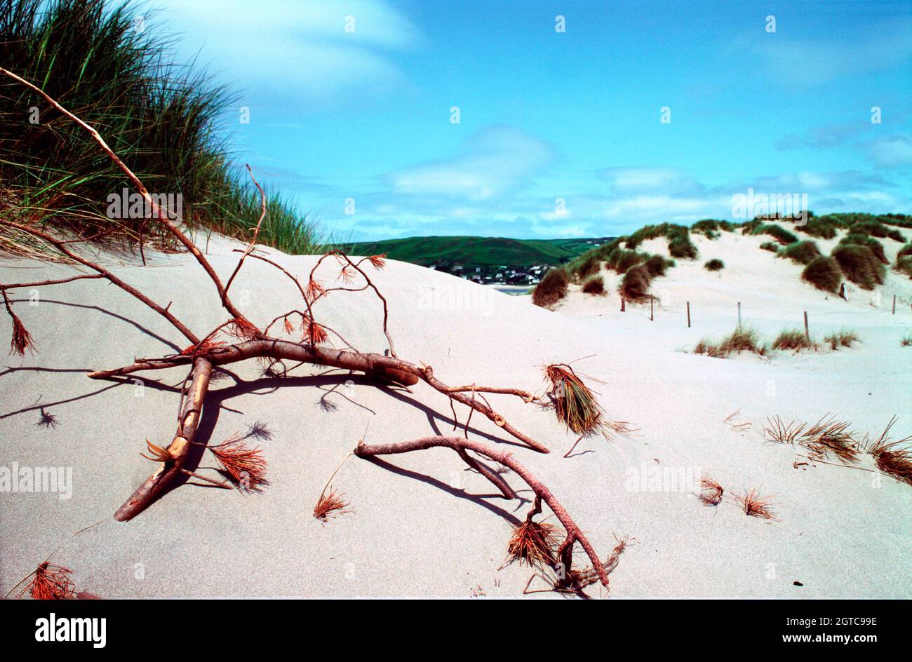 1979 giugno - Yuyslas Sand Dunes vicino Aberdovey, Dyfed, Galles. Foto Stock