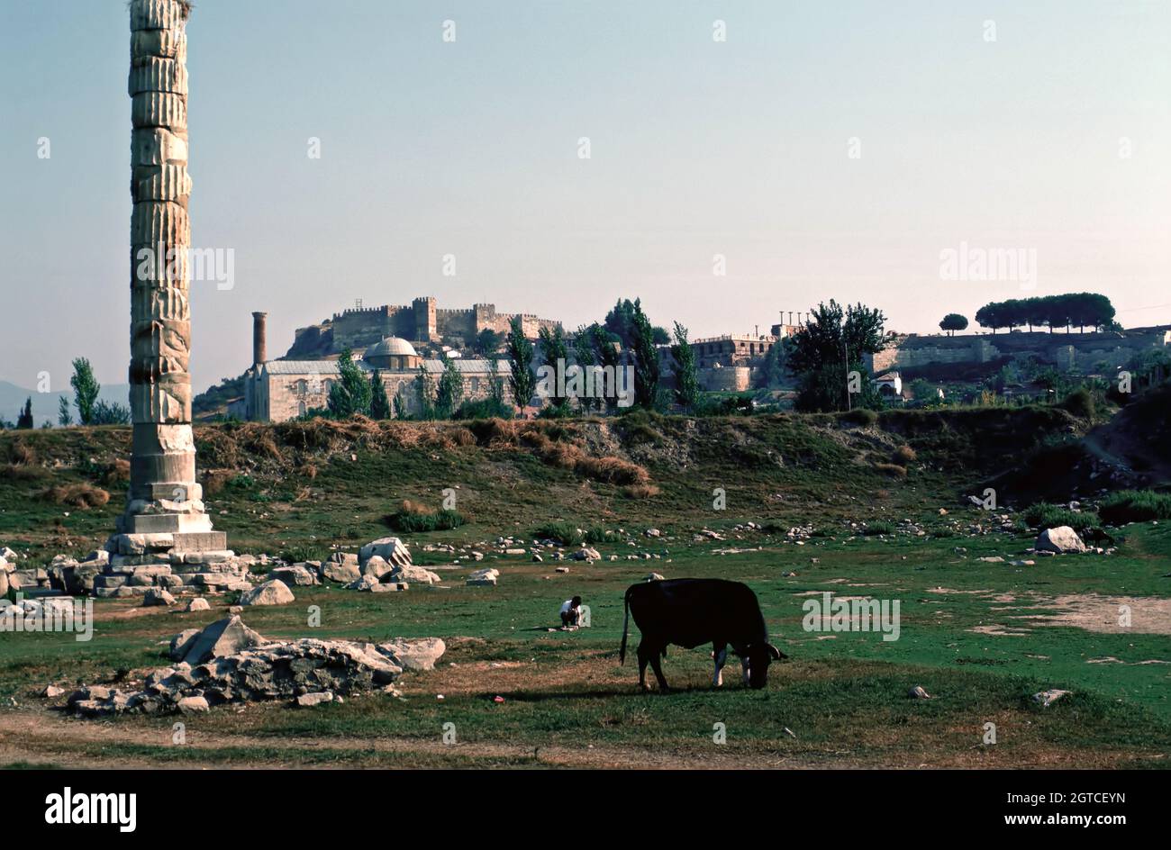 Tempio di Artemis o Artemision (greco: Ἀρτεμίσιον; turco: Artemis Tapınağı) vicino a Selcuk. Una delle sette meraviglie del mondo antico. ISA Bey Cam Foto Stock