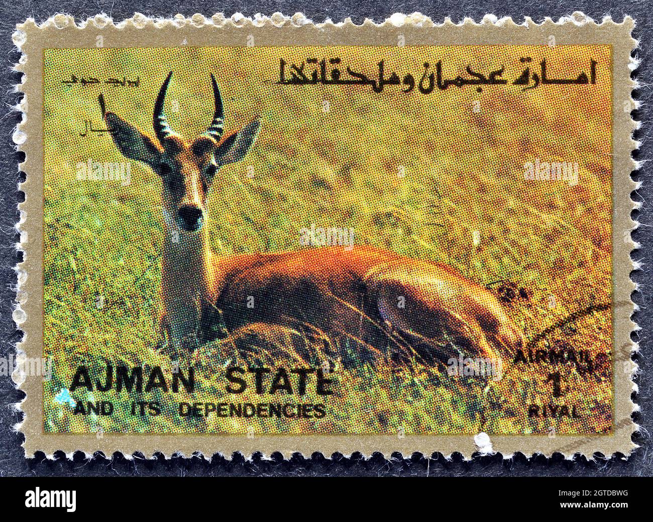 Cancellò francobollo stampato da Ajman, che mostra Gazelle, circa 1973. Foto Stock