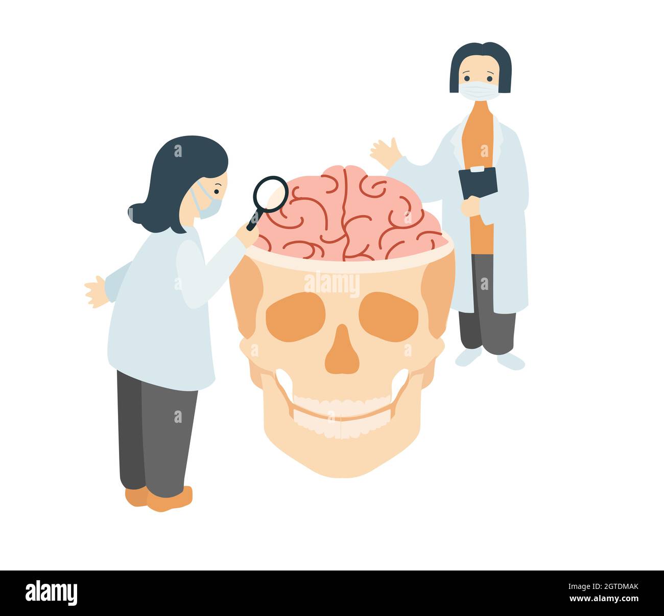 Scienziati che studiano il cervello umano. Medici in cappotti bianchi esaminando attentamente il cranio con convoluzioni cerebrali Illustrazione Vettoriale