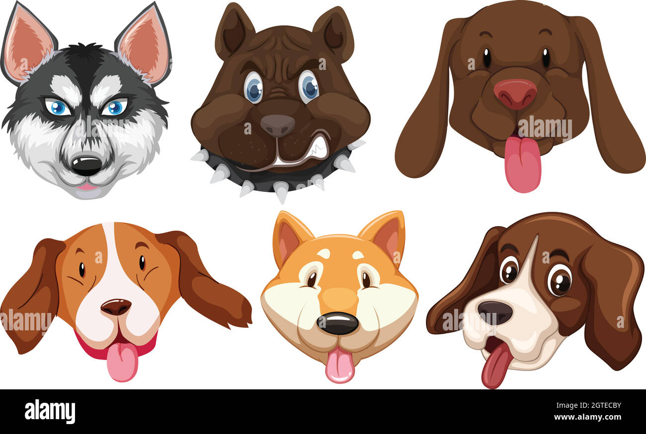 Set di razze di cane testa Illustrazione Vettoriale