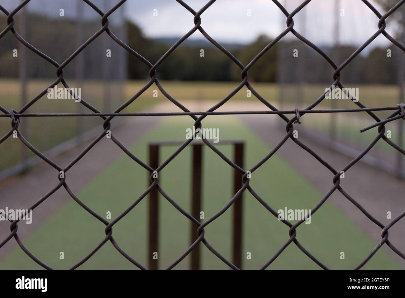 Vista frontale dei ceppi di cricket attraverso una recinzione chainlink. Foto Stock