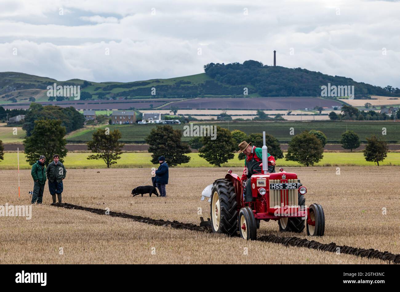 Luffness Mains Farm, East Lothian, Scozia, Regno Unito, 2 ottobre 2021. Associazione di aratura benefica: Gli agricoltori competono nell'evento per raccogliere fondi per i campionati scozzesi di aratura che sono stati duramente colpiti dalla pandemia. I trattori includono i tipi idraulici vintage, non idraulici classici reversibili, classici convenzionali e vintage orticoli. I giudici assegnano punti per la rettilineità, le aperture e le uscite e una varietà di altre caratteristiche delle linee arate. Nella figura: Un trattore internazionale reversibile classico non idraulico che aratura una linea Foto Stock
