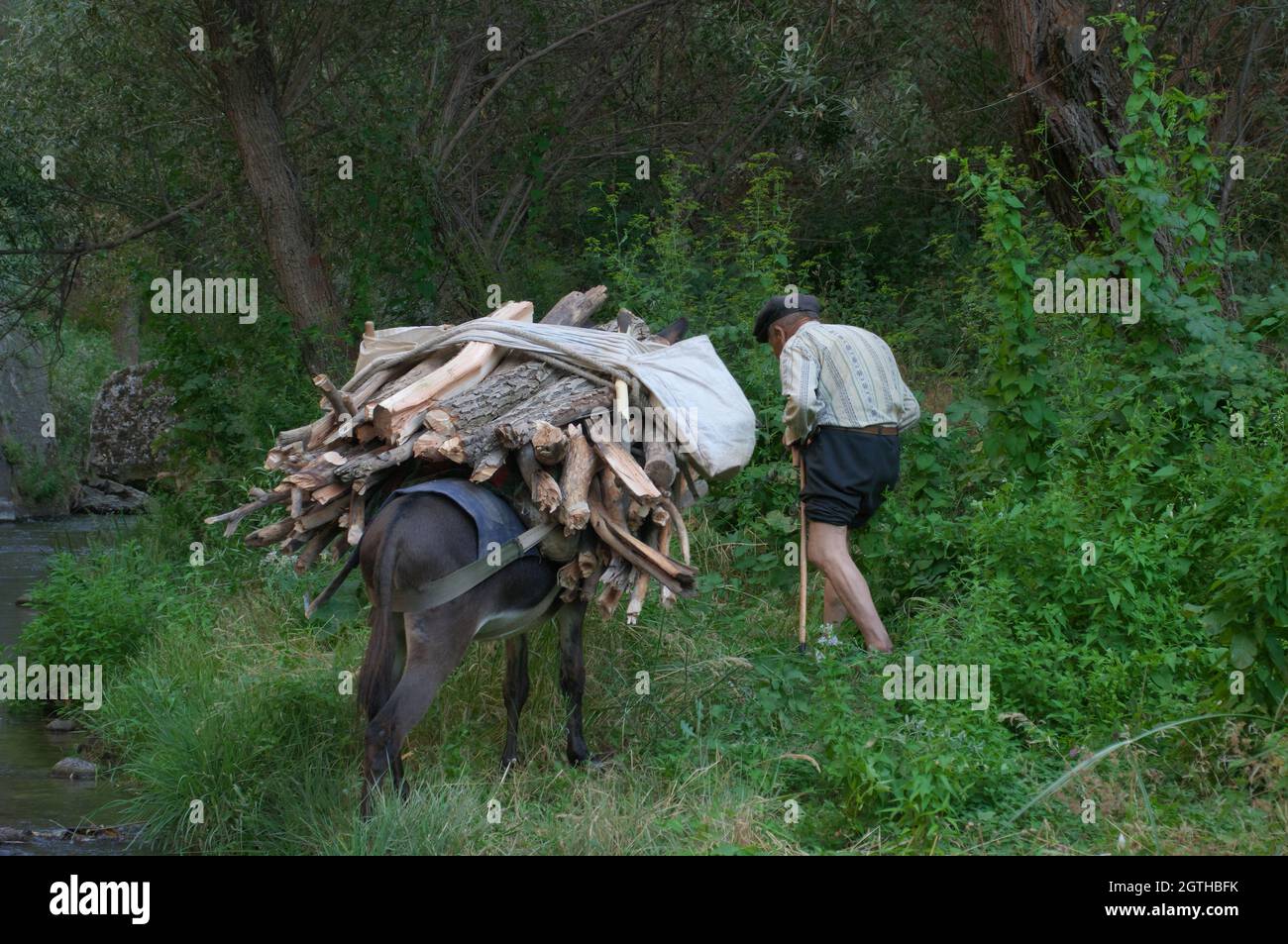 Economia e vita quotidiana in Turchia rurale un uomo molto vecchio con il suo asino caricato di legno per l'inverno arrotolato i suoi pantaloni a guado il fiume nel I. Foto Stock