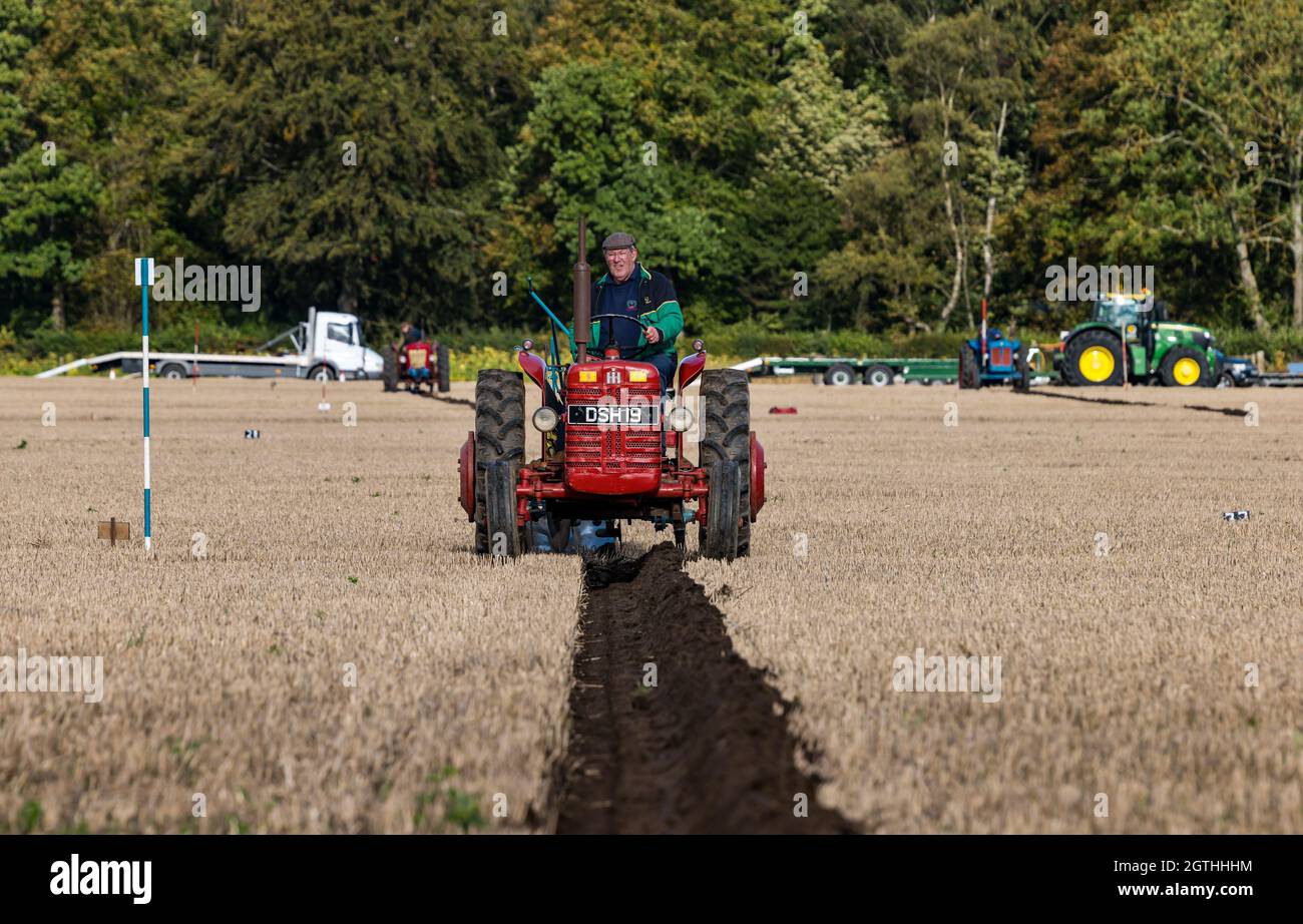 Luffness Mains Farm, East Lothian, Scozia, Regno Unito, 2 ottobre 2021. Associazione di aratura benefica: Gli agricoltori competono nell'evento per raccogliere fondi per i campionati scozzesi di aratura che sono stati duramente colpiti dalla pandemia. I trattori includono versioni idrauliche vintage, non idrauliche classiche reversibili, orticole classiche e vintage. I giudici assegnano punti per la rettilineità, le aperture e le uscite e una varietà di altre caratteristiche delle linee arate. Nella figura: Un trattore internazionale 1957 che aratura una linea Foto Stock