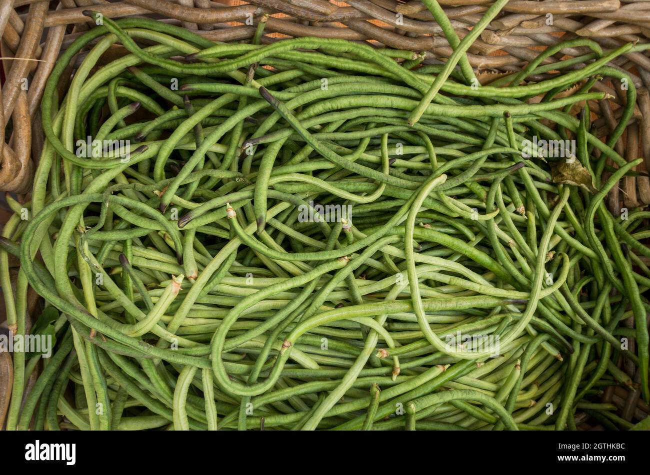 Fagioli lunghi del iarda, fagiolo di pisello, cowpea lunga-podded, fagiolo lungo cinese, fagiolo di serpente, bodi in un cestino su un mercato alimentare, Spagna. Foto Stock