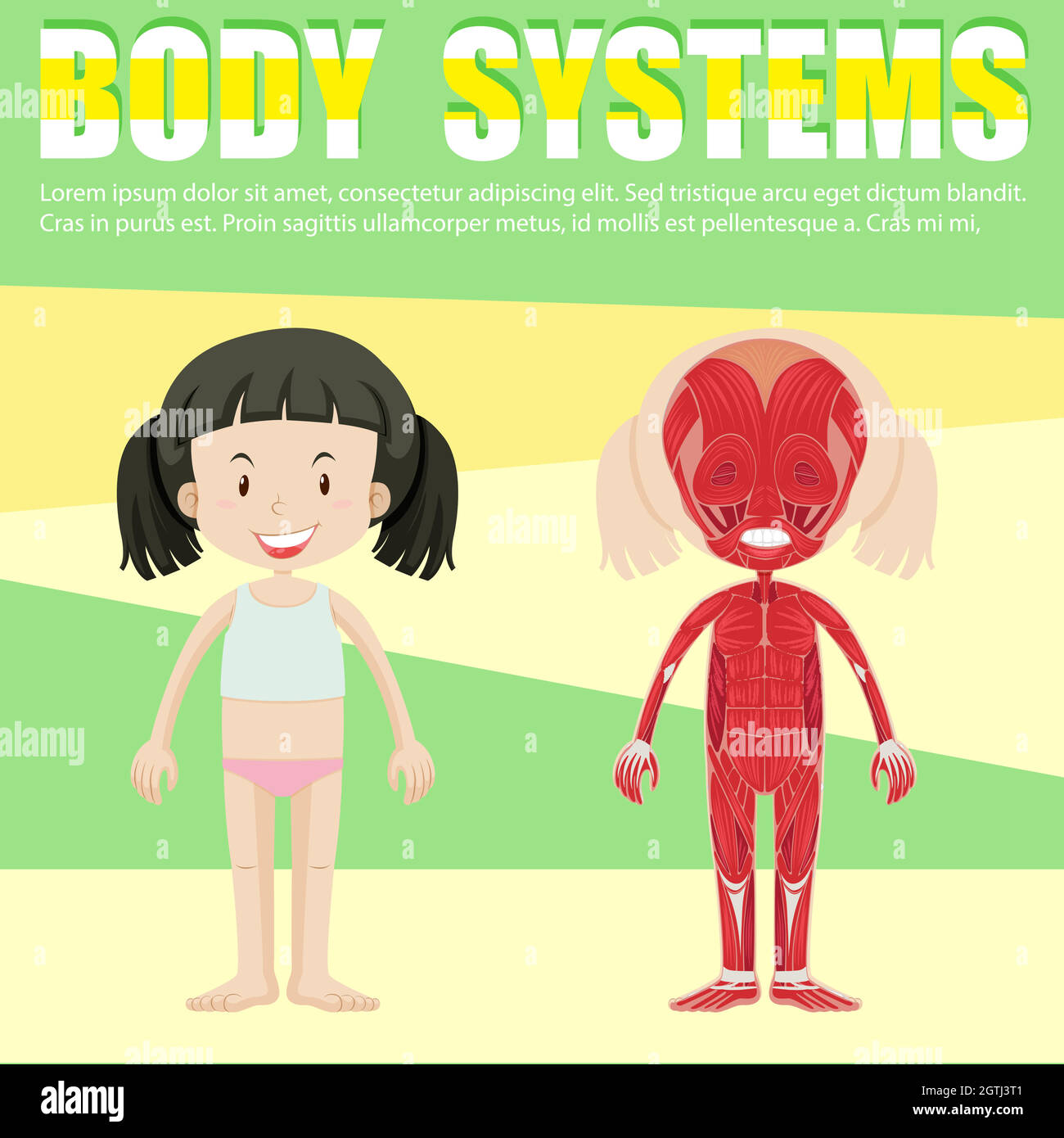 Infografica con il sistema della ragazza e del corpo Illustrazione Vettoriale