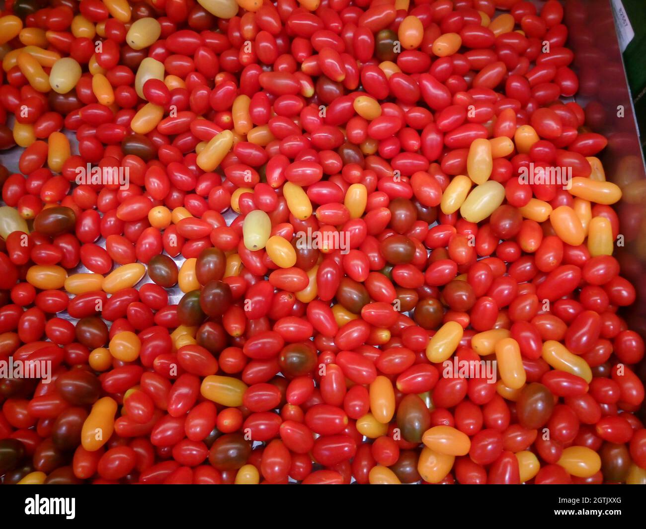 PIC e mescolare pomodori ciliegia, varietà di piccoli pomodori colorati. Sfondo cibo Foto Stock
