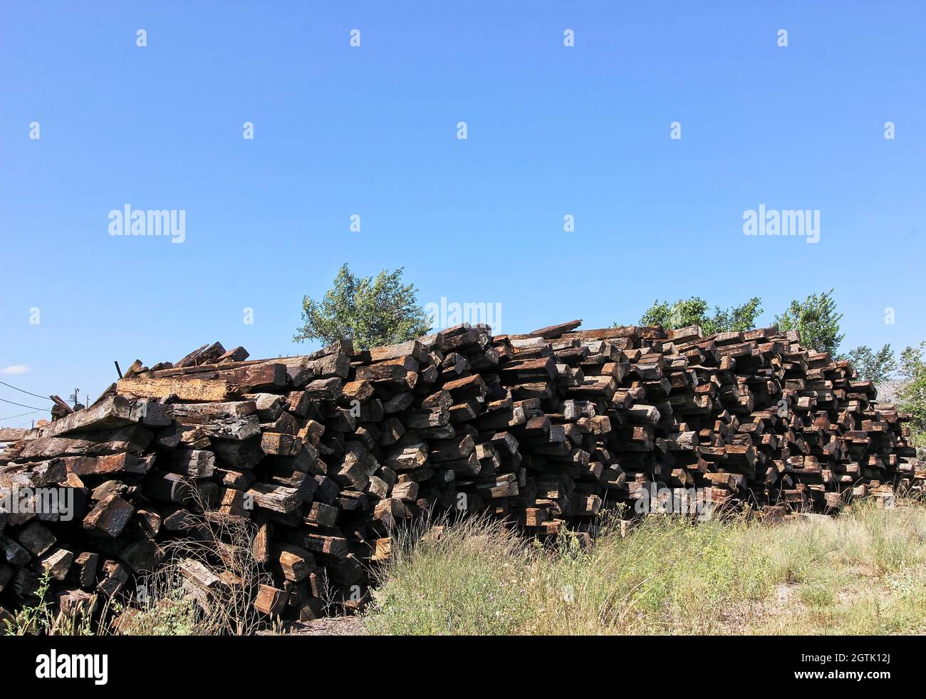 Palo di pali di legno Foto Stock