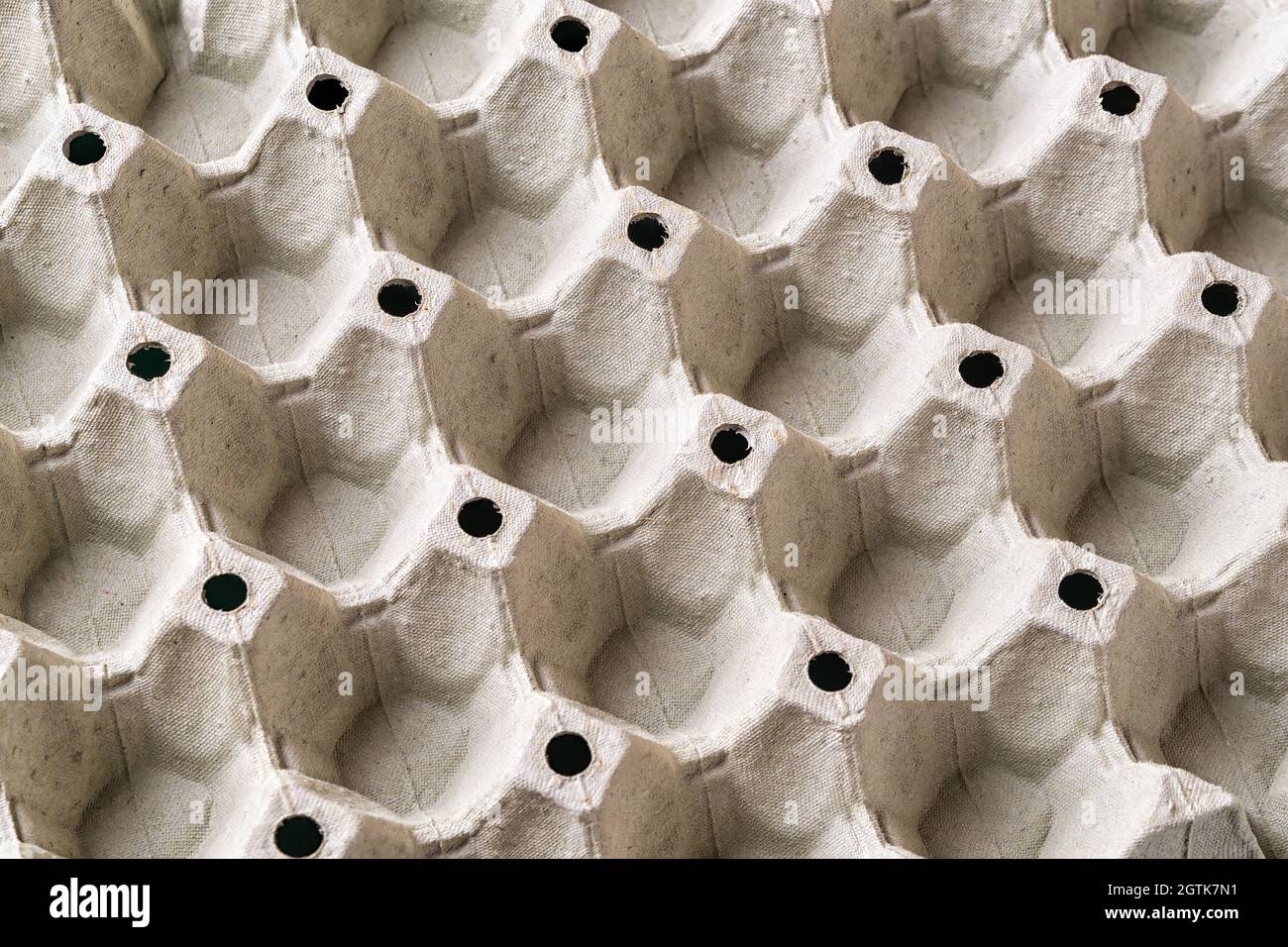 Svuotare il vassoio delle uova. Fondo di grande contenitore di cartone per uova di pollo. Confezione di carta biodegradabile con motivo ripetitivo per uova fragili Foto Stock